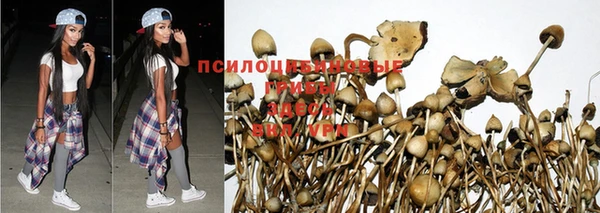 дживик Арсеньев
